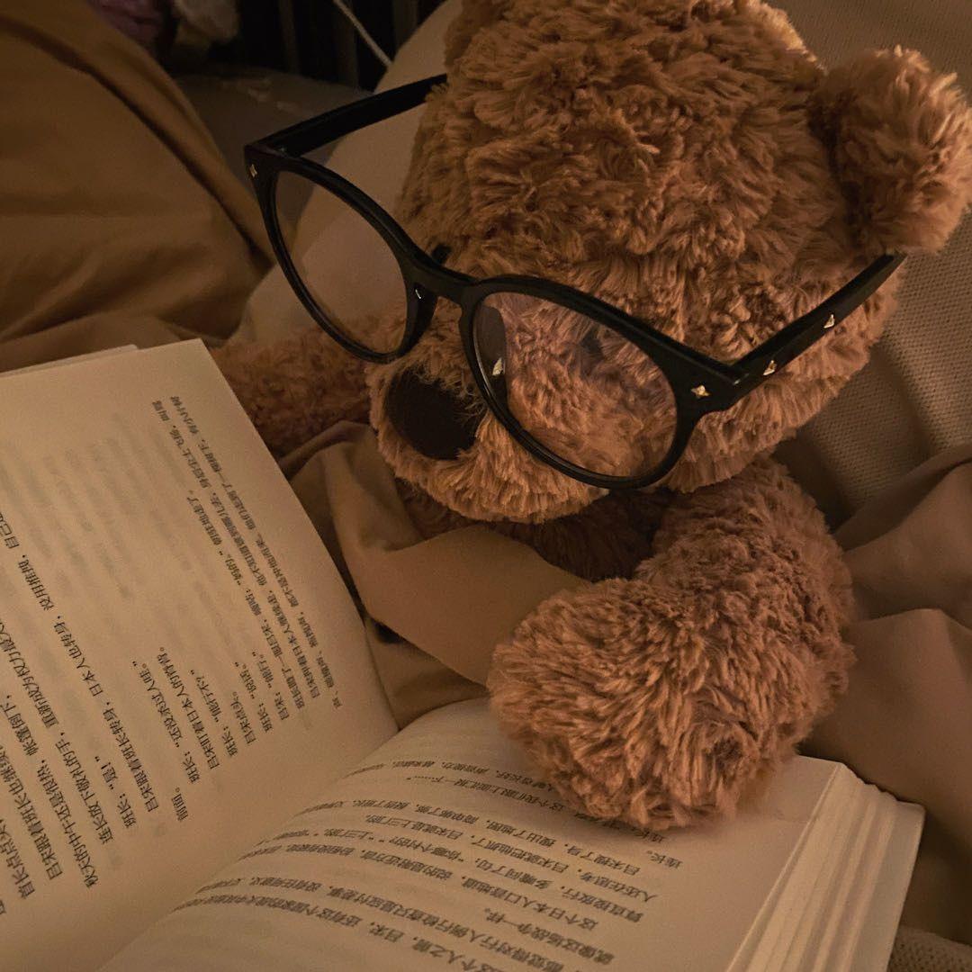 有没有小猫咪看书或者学习的头像