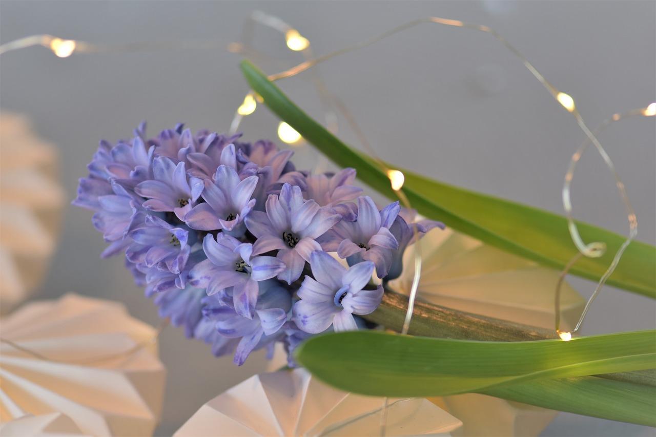 如何搭配餐桌布颜色