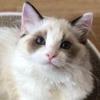 user-profile-image