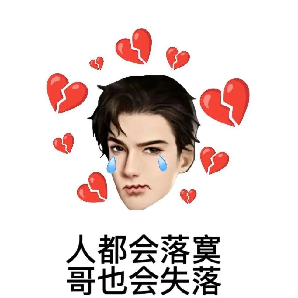 求简隋英表情包