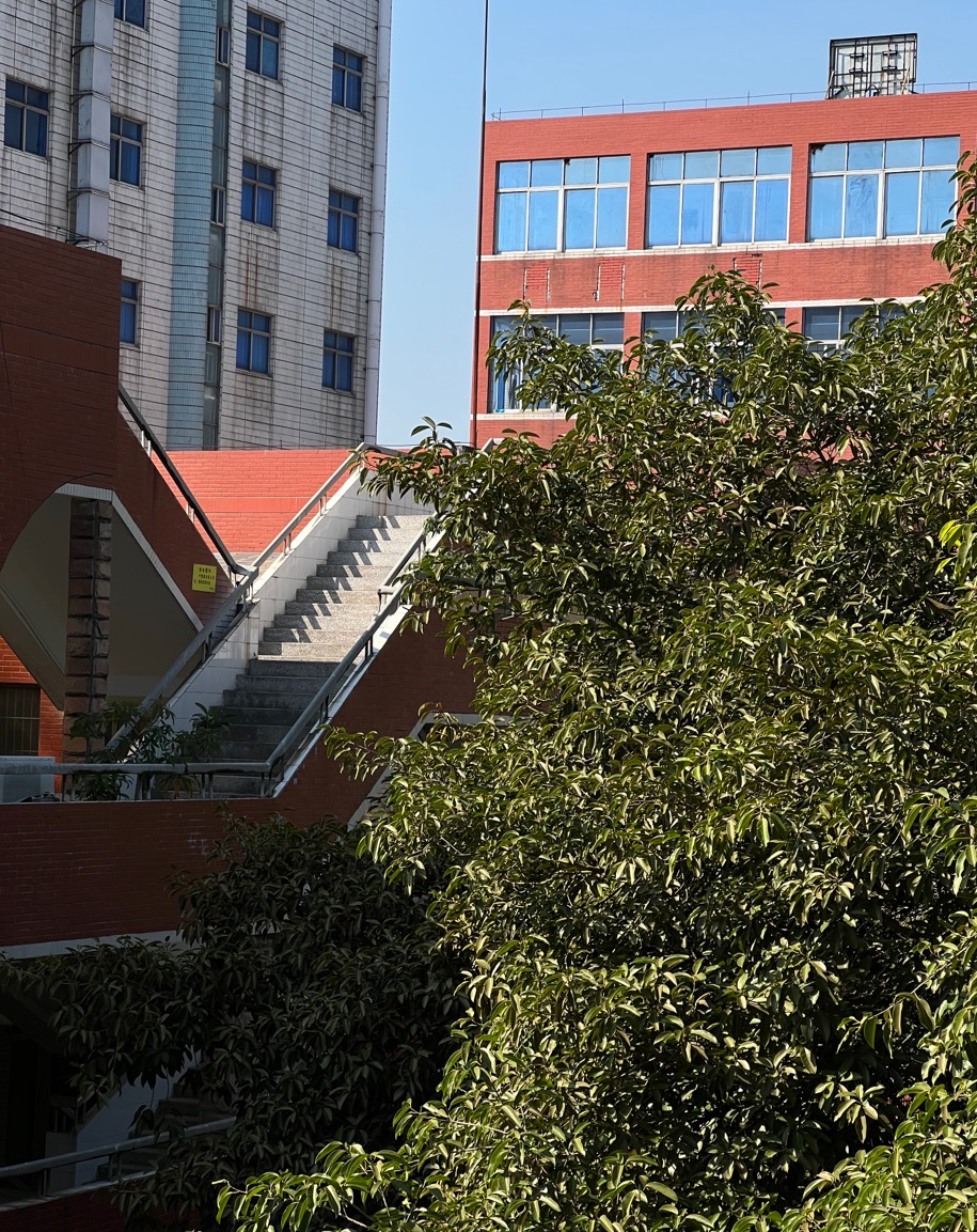 岭南师范学院怎么样?(岭南师范学院可以读研究生吗)