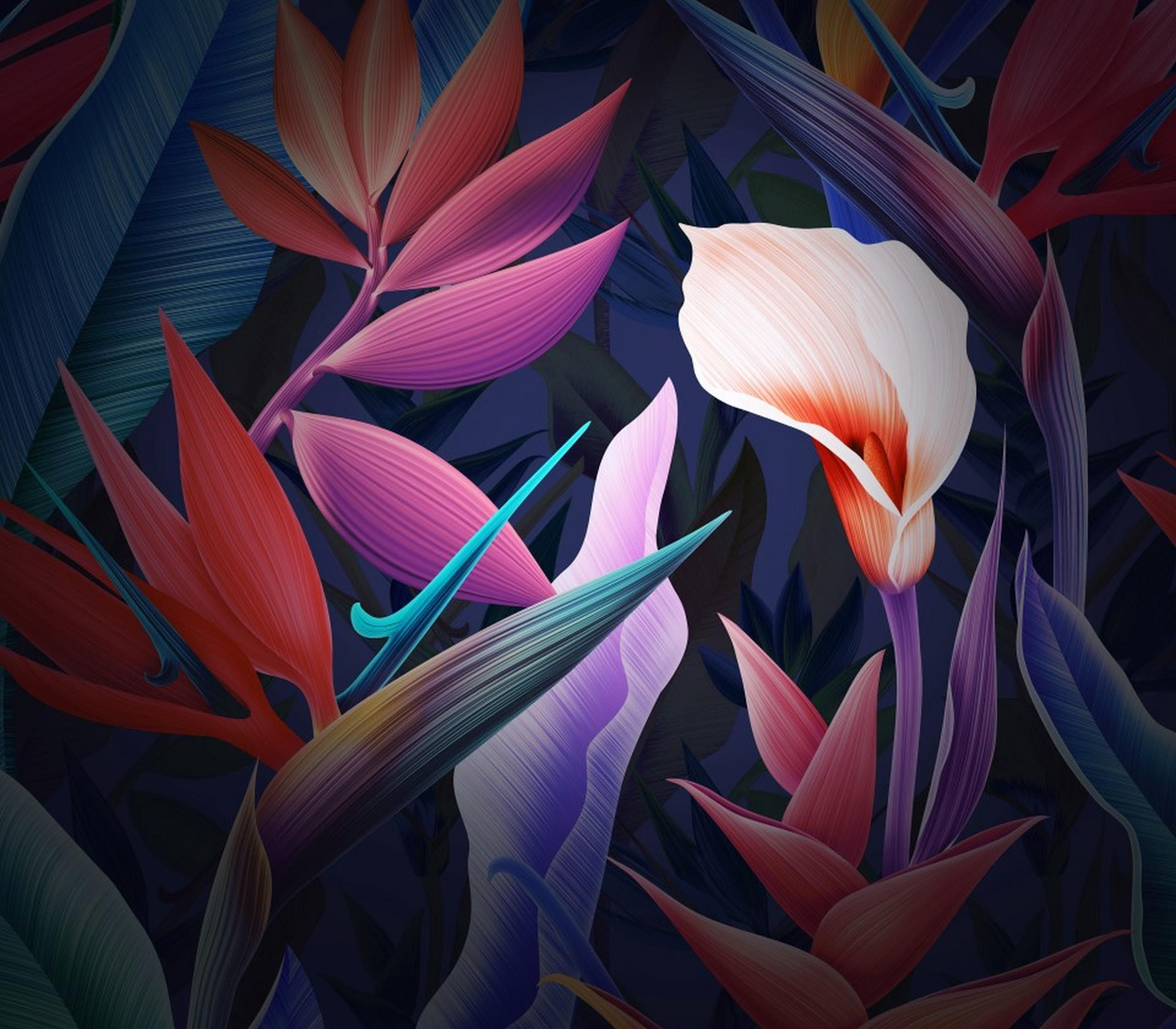 Zhihu banner for @translator