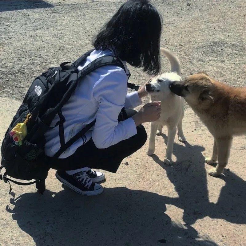 可以发一些真人抱着狗的头像吗