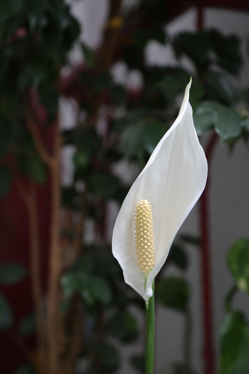 小户型空间利用技巧