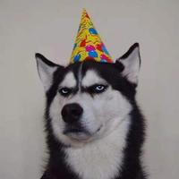 叮叮铛点赞完结更快～谢谢大学毕业后,我成了我爸的第三台人肉提款机.