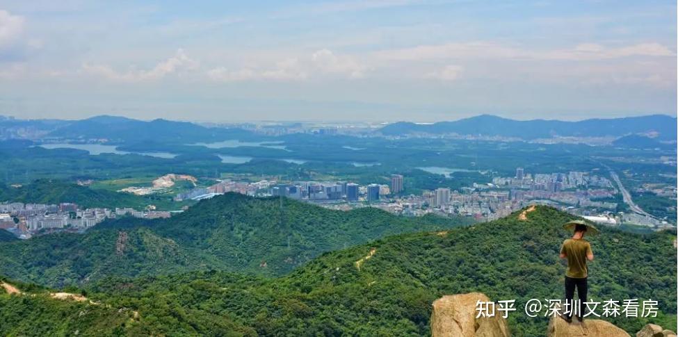 龙华大浪新房：【星河·星悦云邸】项目详情、优劣势分析、户型图 - 知乎