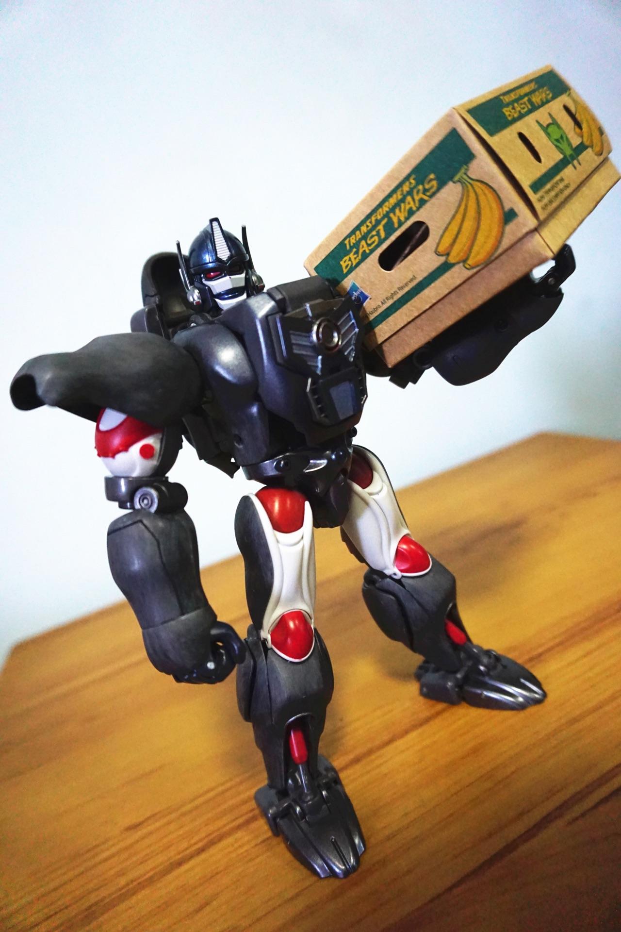 如何评价猛兽侠这部动画片