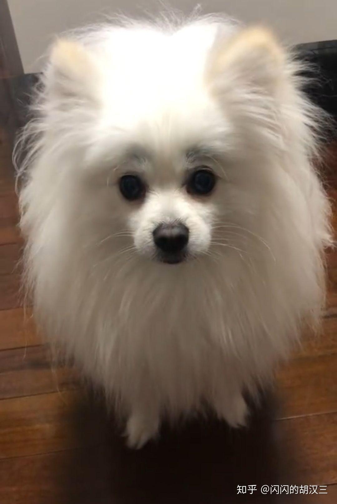 如何评价老番茄女朋友母母?