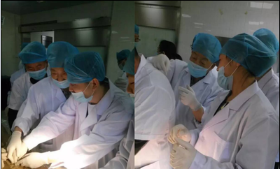 针刀班.针刀微创临床应用人体标本解剖培训班(西安.南昌)5月13日 - 知乎