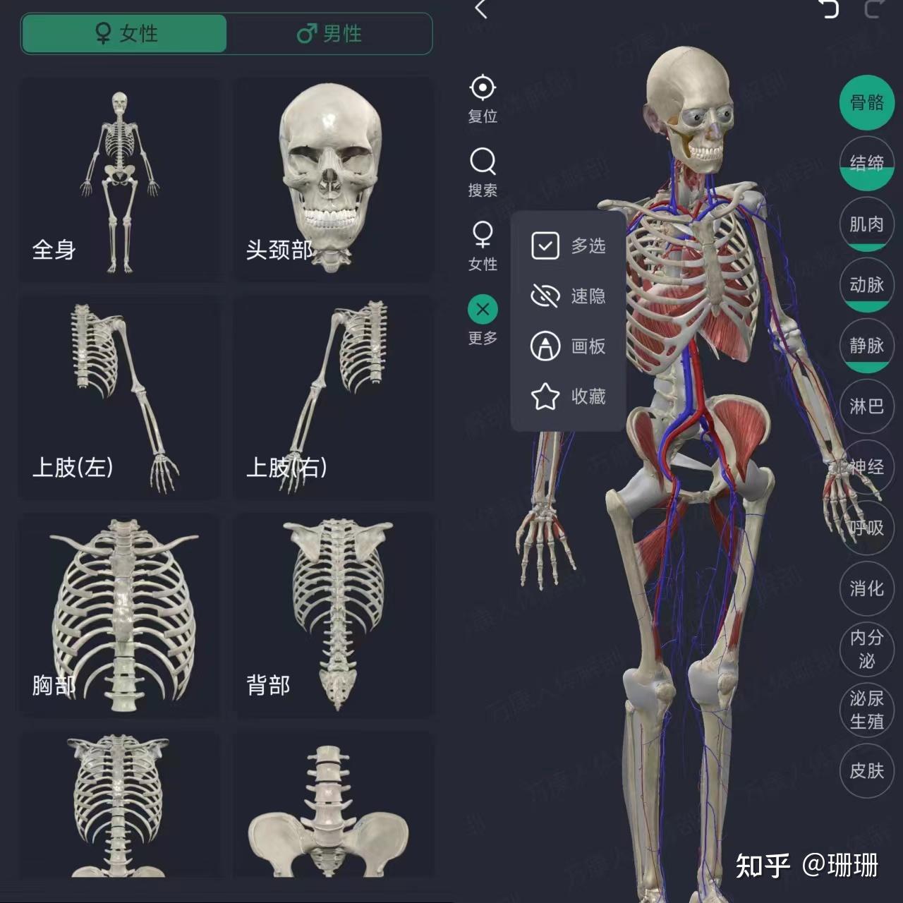 有什么适合医学人体解剖的软件？ - 知乎