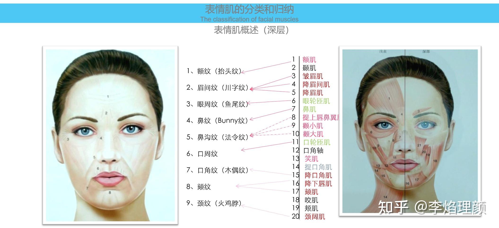 30岁面部下垂还有些发腮法令纹也比之前严重了一些有什么好的解决方法