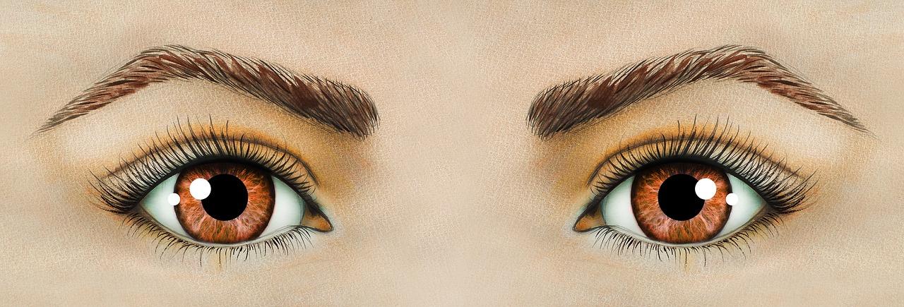 5. 棕色背景家具