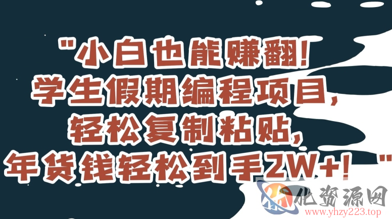 小白也能赚翻！学生假期编程项目，轻松复制粘贴，年货钱轻松到手2W+【揭秘】