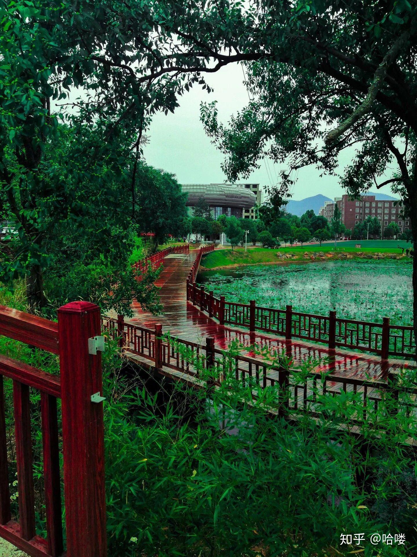 在信阳学院就读是什么体验