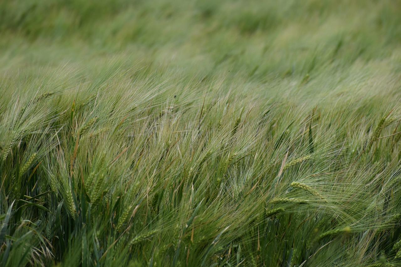 4. 房产测绘技术