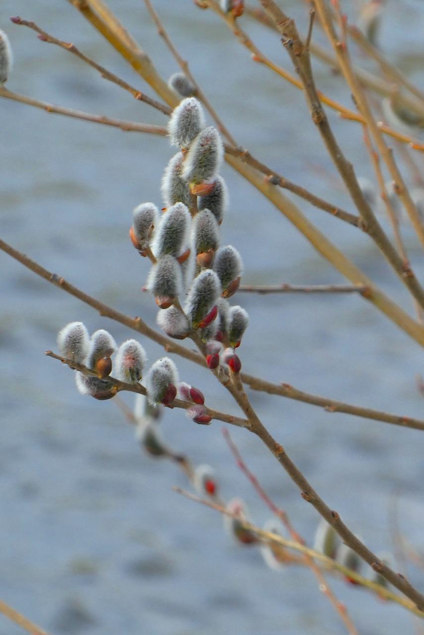 2. 绿荫里小区地址