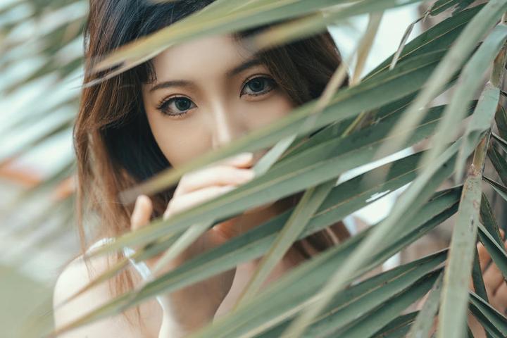 小八要买广东菜
