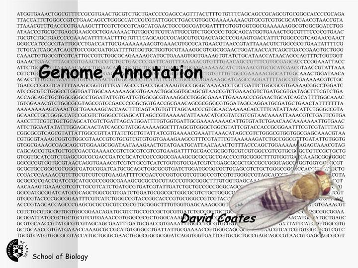 细读源码之Annotation - 知乎