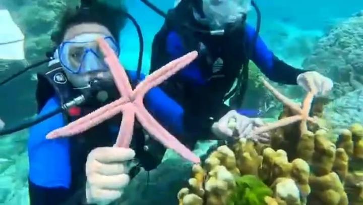 中国游客在泰国普吉岛潜水抓海洋生物拍照事件，旅游公司紧急致歉 知乎