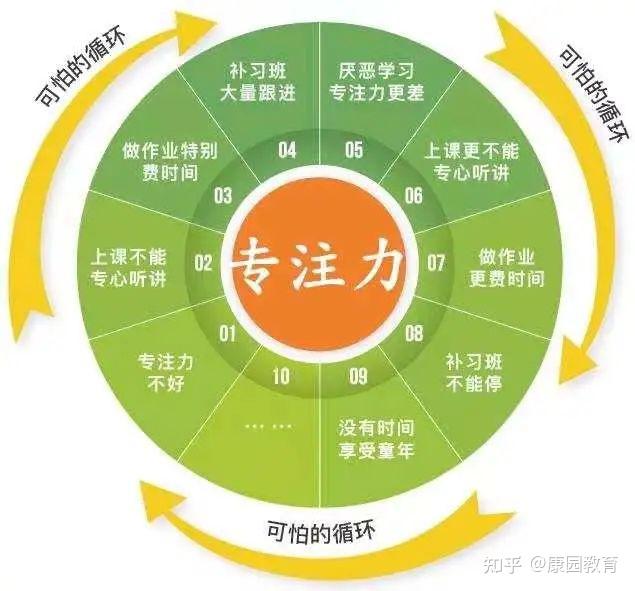 专注力的类型都有哪些?来看看你家孩子属于哪一种? - 知乎