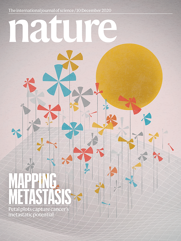 分享几个数据可视化的网站！ - 知乎