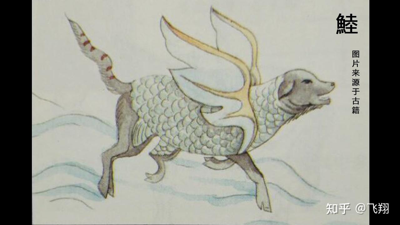 《山海经图解第七篇》:鯥 - 知乎