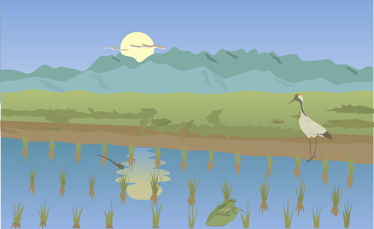 农垦土地权属争议