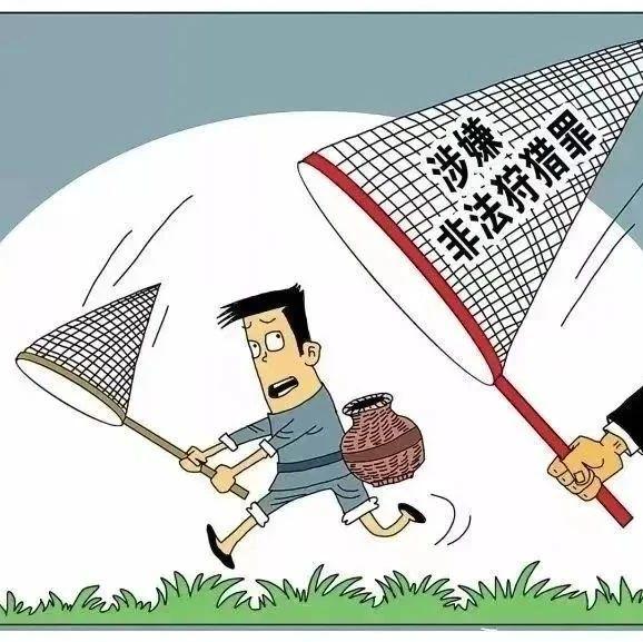 八五普法什么是非法狩猎罪