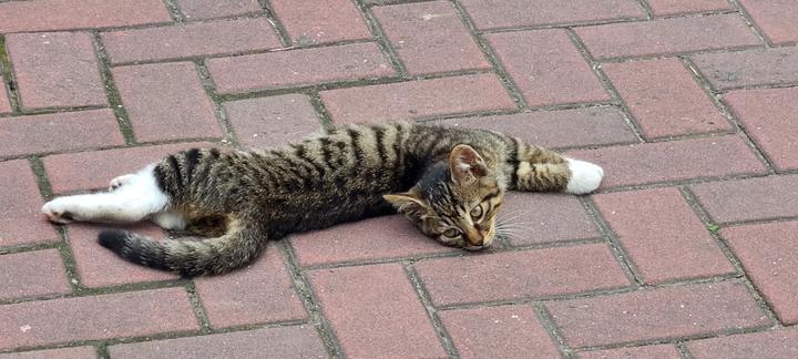 详谈python中的小数运算 以及四舍五入不精确问题 知乎