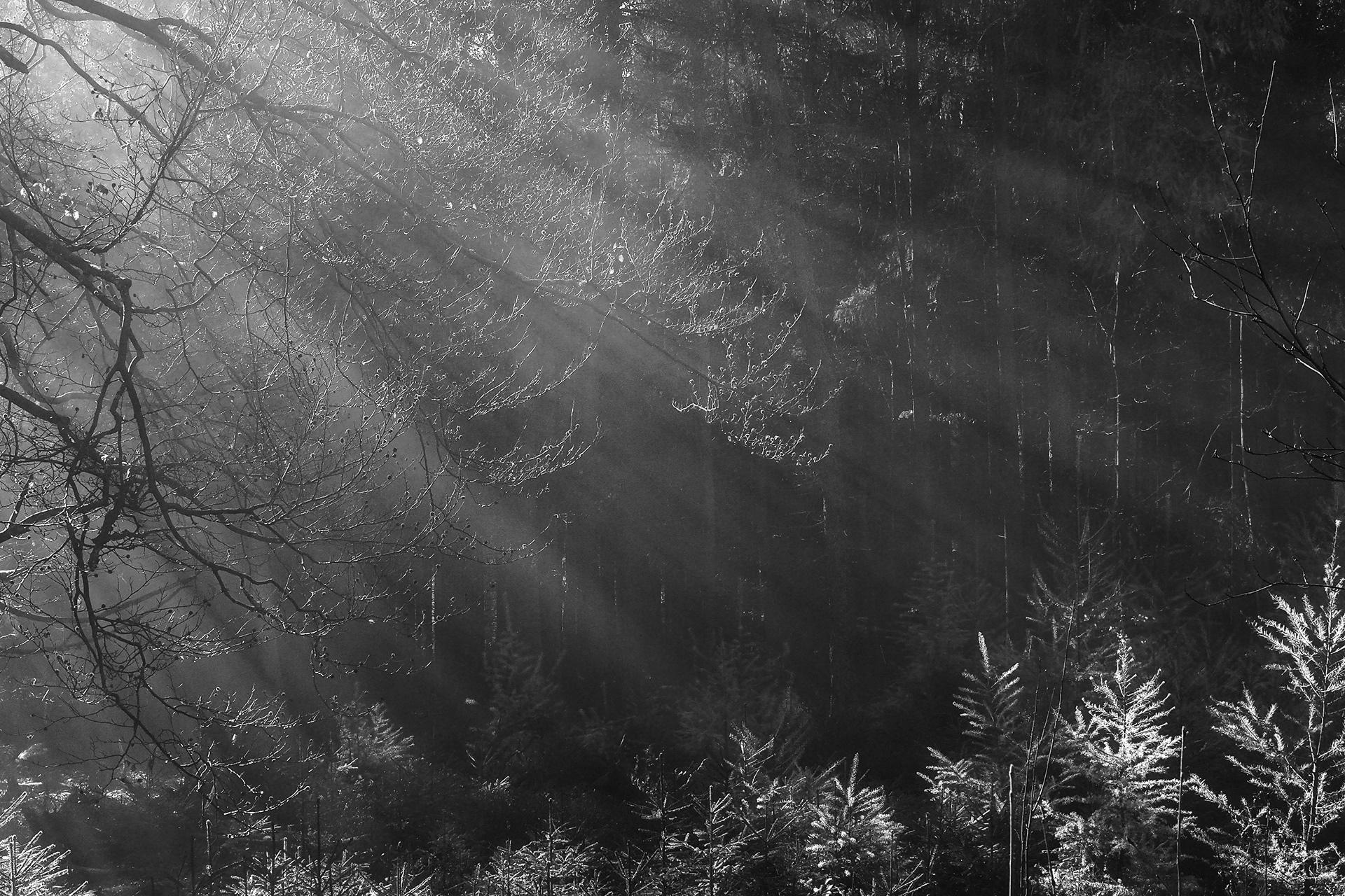 有没有电脑壁纸,黑白灰色调,谢谢? - 知乎