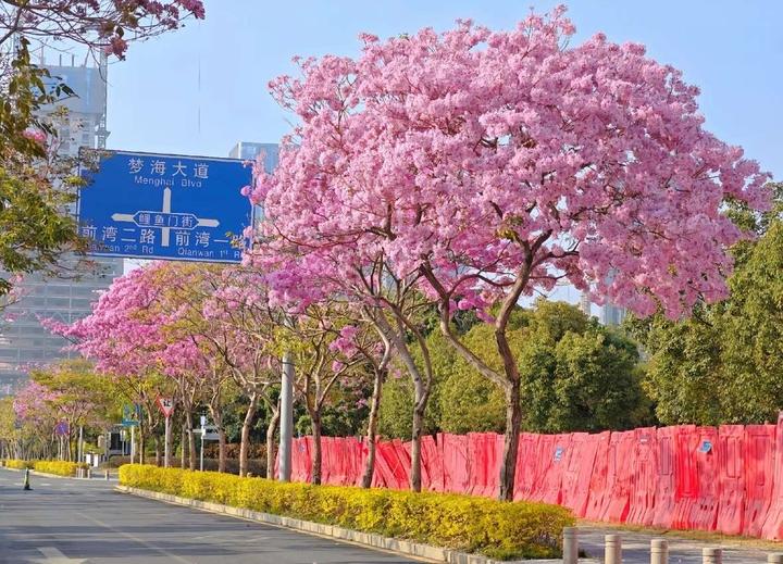 简单看下最近的Spring Secrurity、Spring漏洞(CVE202422234、CVE202422243) 知乎