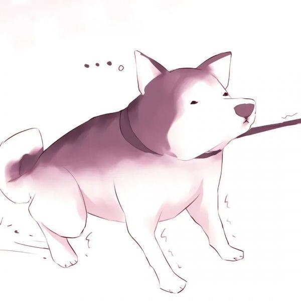 有木有一人一猫的情侣头像哦比如这种,感激! - 知乎