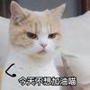 奇奇怪怪可可爱爱