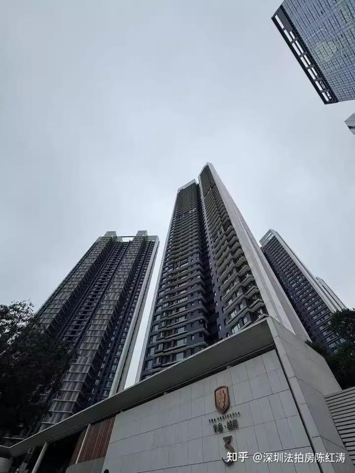 2025开年王炸法拍房最低省860万!深圳湾畔南山核心半岛城邦三期稀缺海景无敌 - 知乎