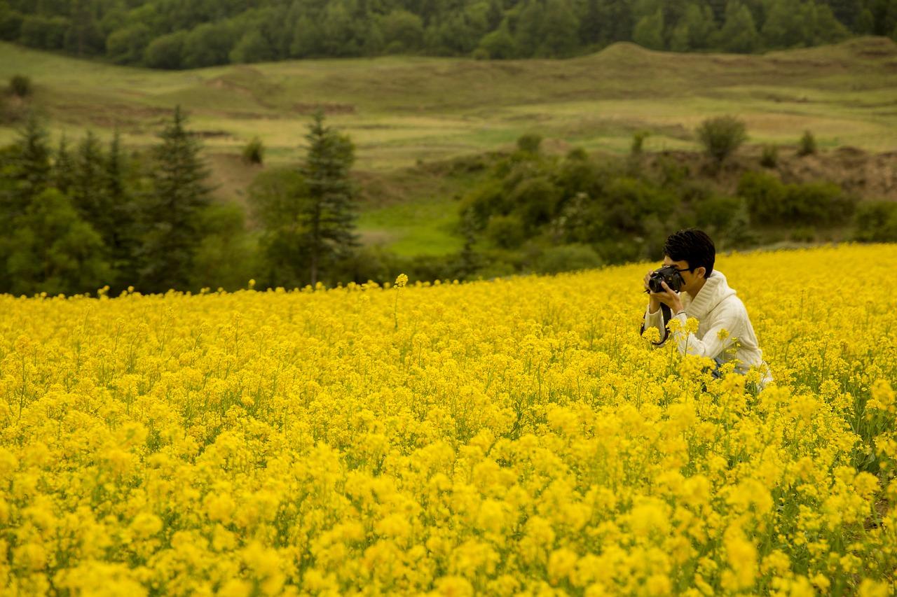 青海循化的房价多少