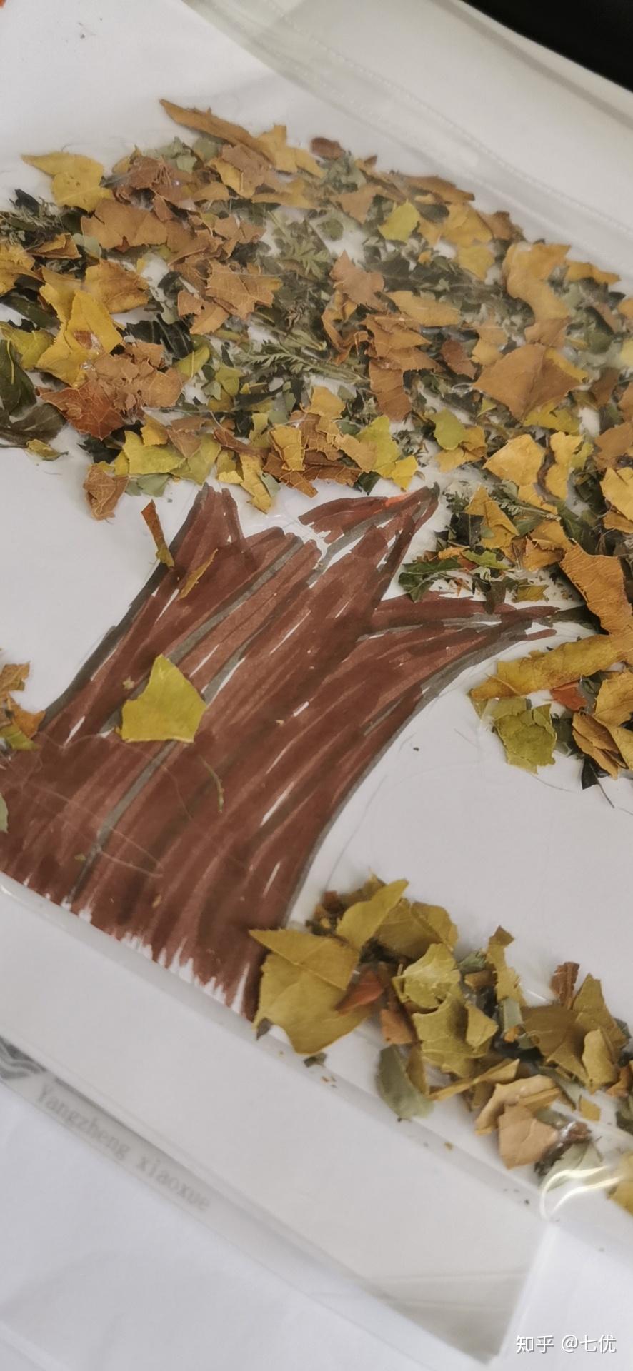 为什么孩子会乐此不疲的将树叶装兜里?这是一种什么心理? - 知乎