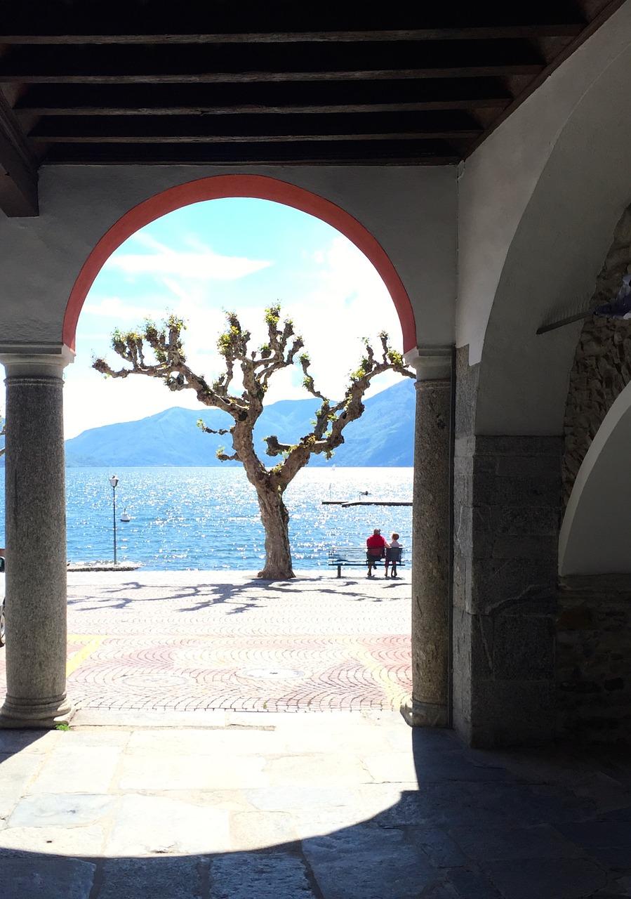 什么果树挡噪音