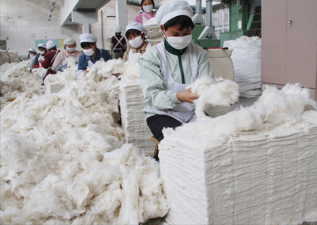 收藏棉花加工贸易与配额管理进口报关流程