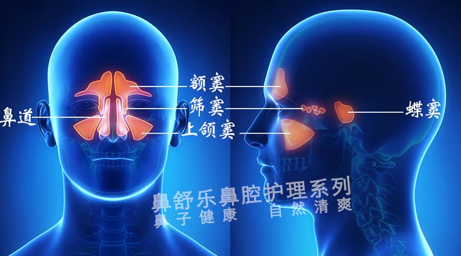 感冒一次擤出的那么多鼻涕储存在鼻旁窦里吗? - 知乎