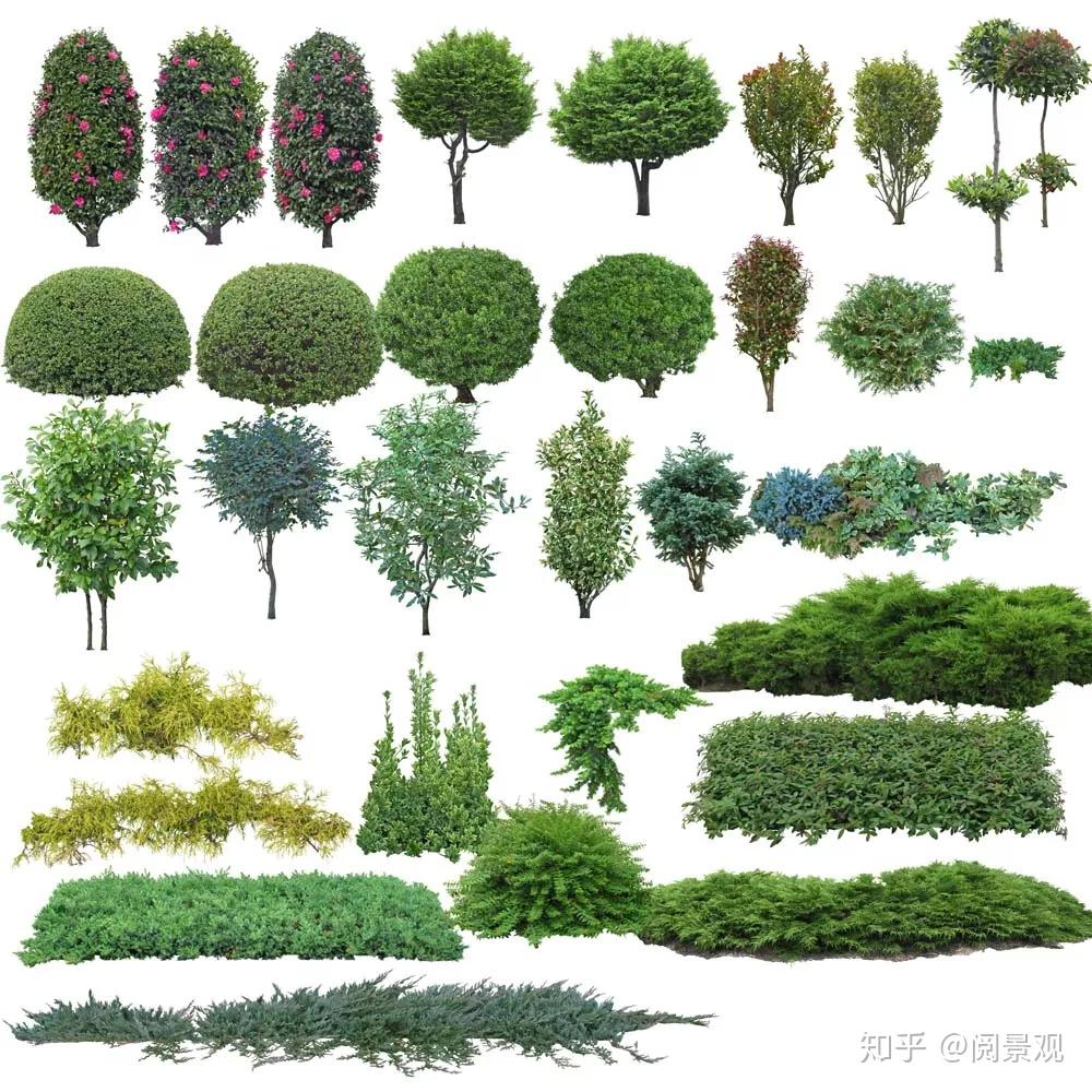 25.4G高清PSD分层植物立面源文件，景观设计必备 - 知乎