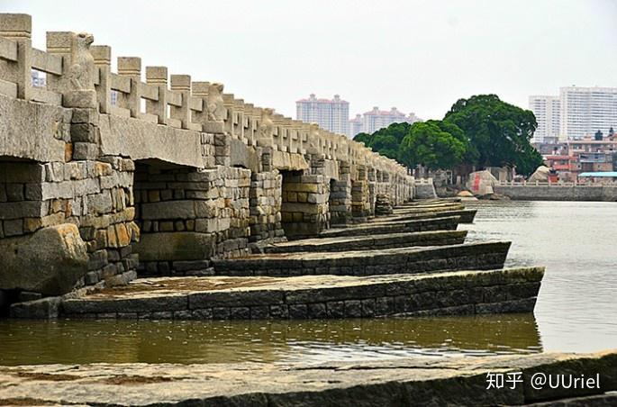 用牡蛎加固桥基可能么