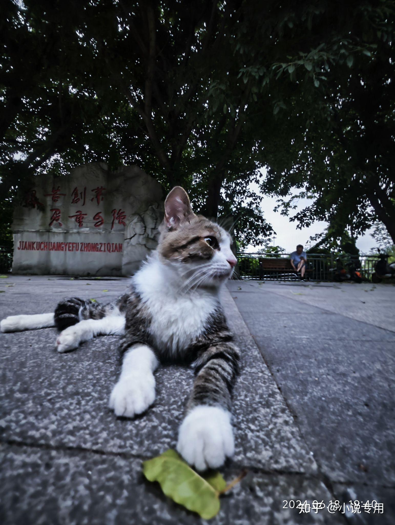 西南大学荣昌校区怎么样啊,好不好?