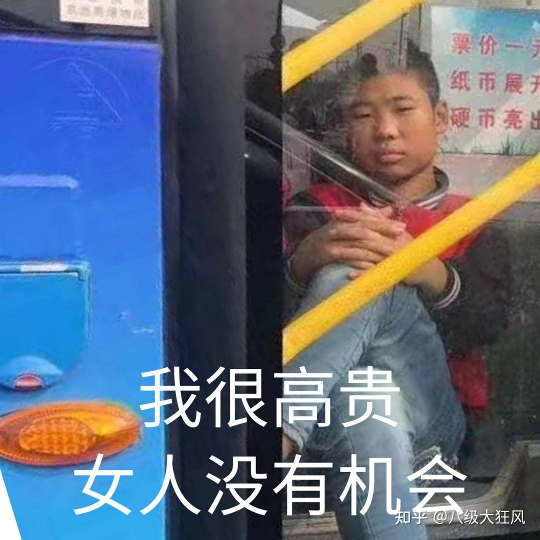 怎样回女生我很高贵男人没有机会的表情包