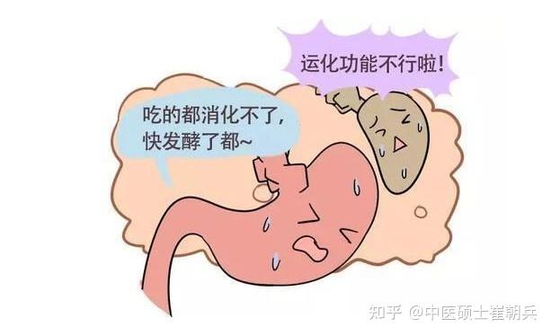 脾胃虚弱如何调养?【干货知识分享】 - 知乎