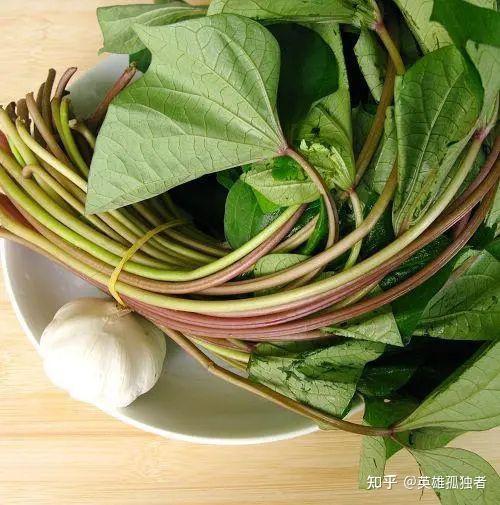 红薯叶有什么食用功效