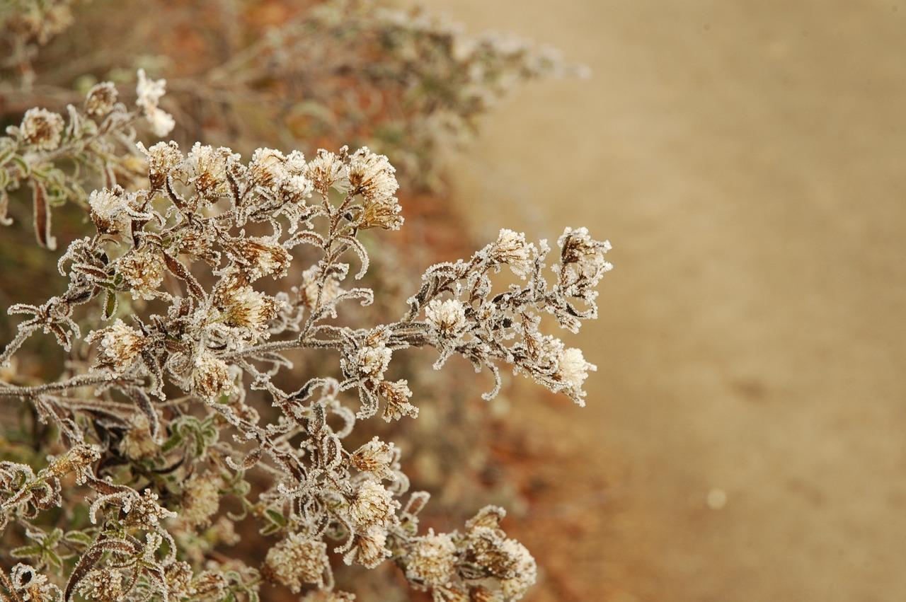 无霜冰箱选购指南