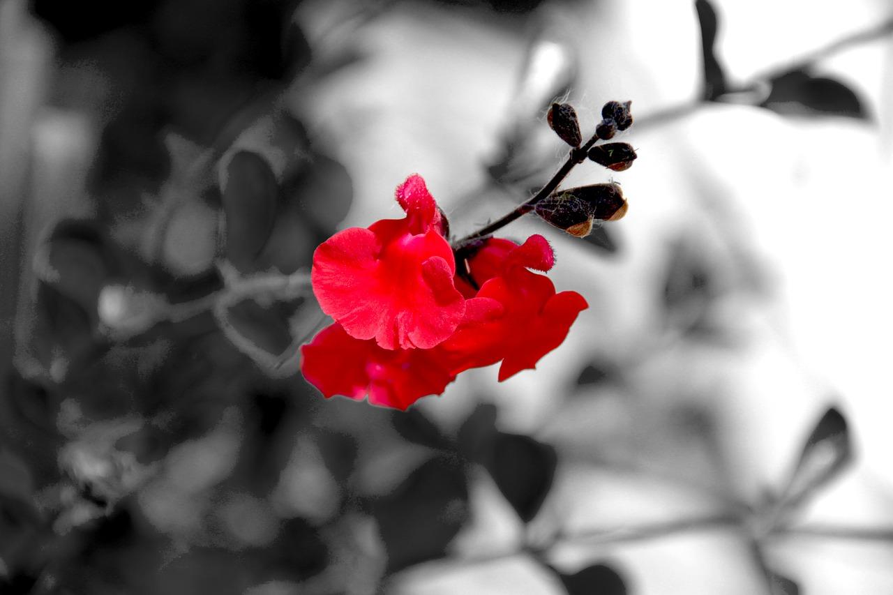 2. 刮塑成本解析