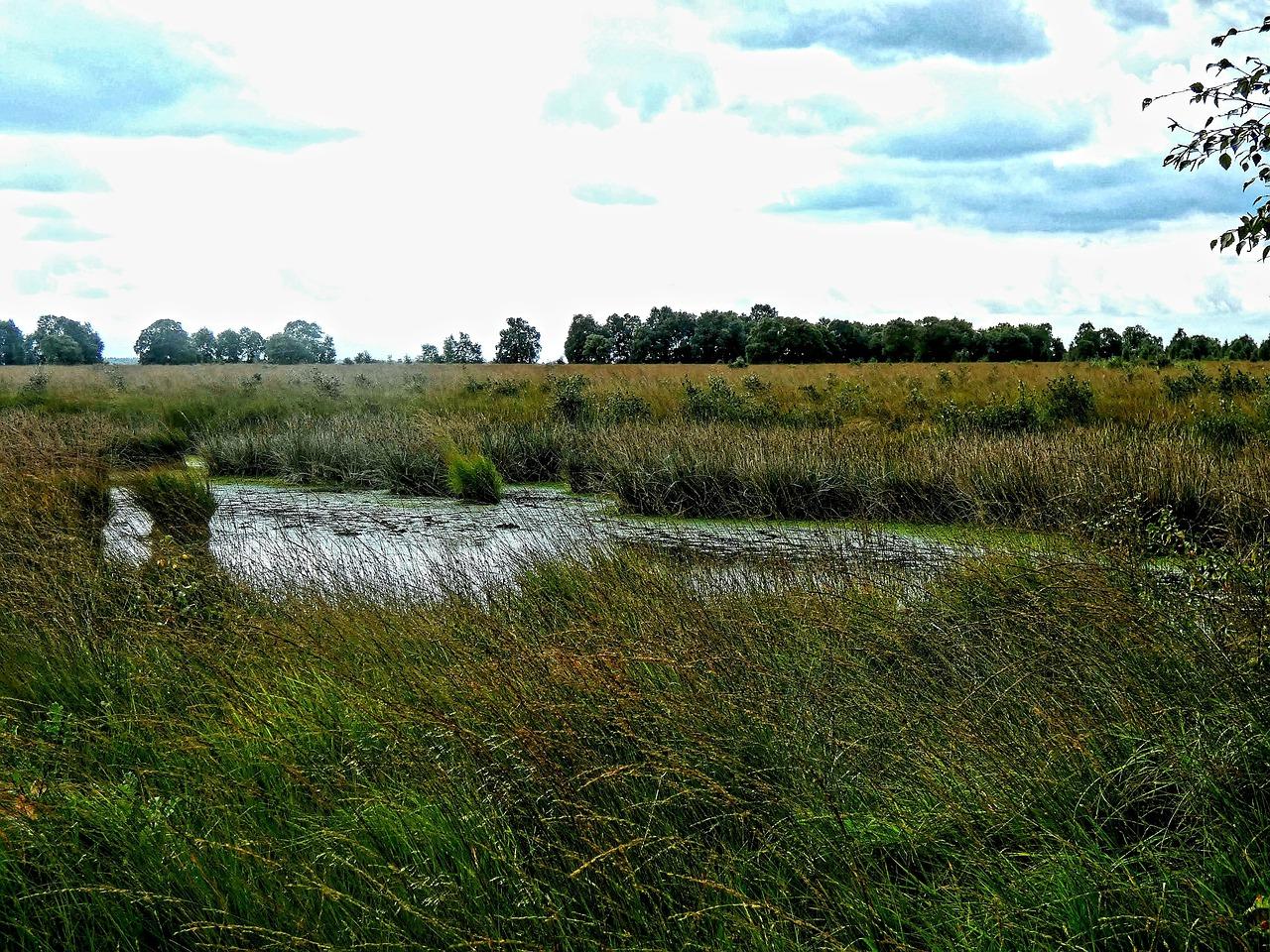 幼儿园区角怎么设置