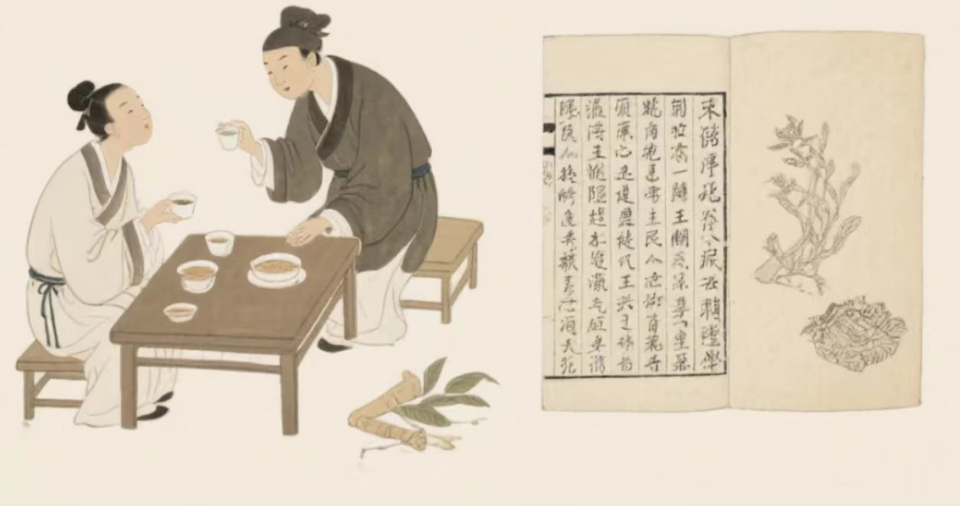 茶疗中以茶入药的历史渊源:从神农尝草到现代妙用 - 知乎