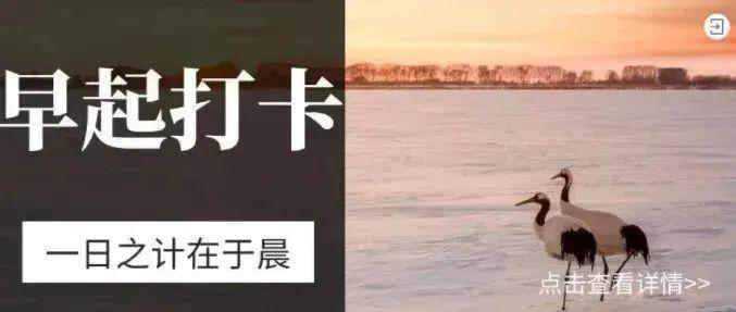 五点半和六点早起打卡营 - 知乎